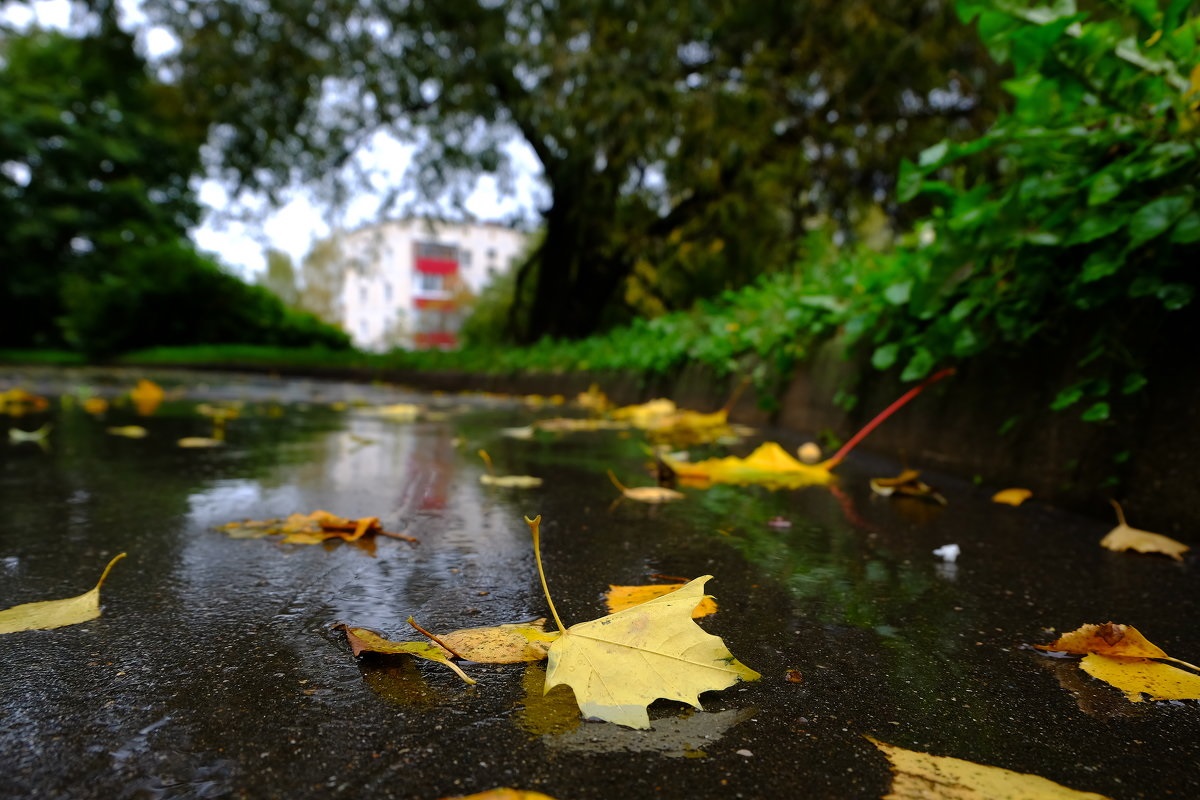 После теплого лета и дождливой осени. Дождливая осень. Дождь осенью. Осенний дождь в городе. Осенний ливень.